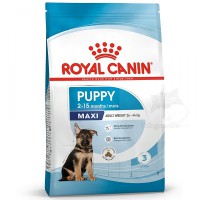 Royal Canin - Junior Large Dog 小兒初級配方 (大型犬) 處方狗乾糧 15kg 訂購大約7個工作天