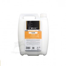 True Iconic 4 VOLUME MAXI CARE 蓬鬆活力護毛素 1 GALLON (預訂)