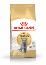 Royal Canin 純種系列 - 英國短毛成貓專屬配方 British Shorthair 貓乾糧 2KG 訂購大約7個工作天