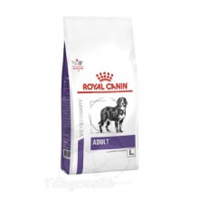 Royal Canin - Adult Large Dog 成年大型犬配方 處方狗乾糧 13kg 訂購大約7個工作天 訂購大約7個工作天