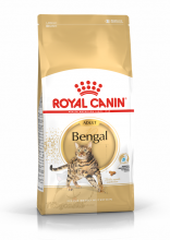 Royal Canin 純種系列 - 豹貓成貓專屬配方 Bengal 貓乾糧 2KG 訂購大約7個工作天
